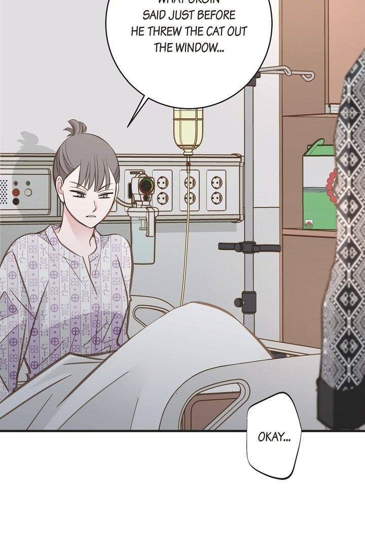 Read Survival Marriage Manga Online