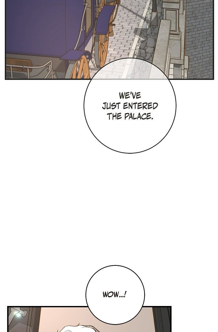 Read Survival Marriage Manga Online