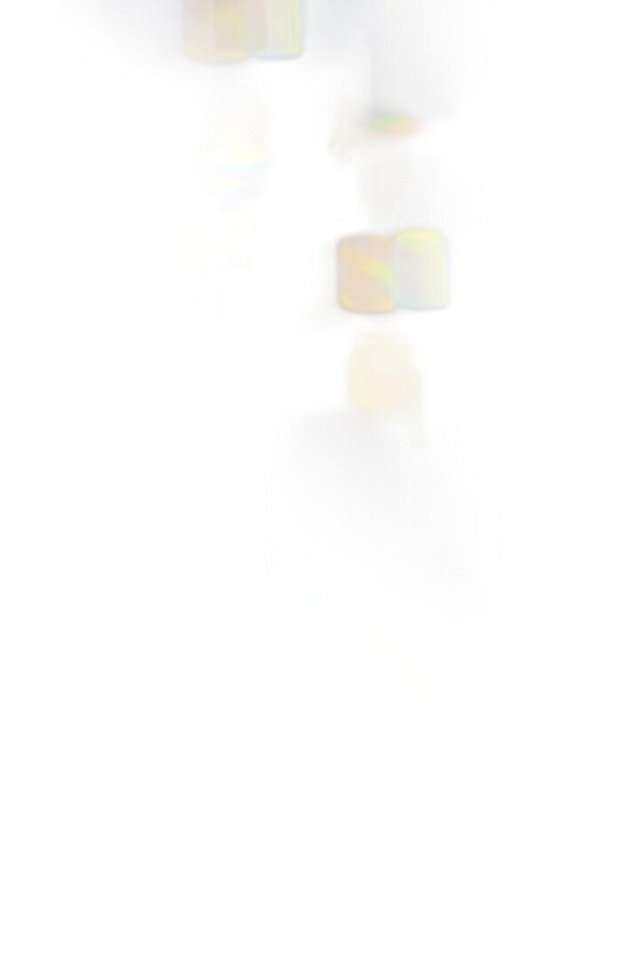 Read Survival Marriage Manga Online