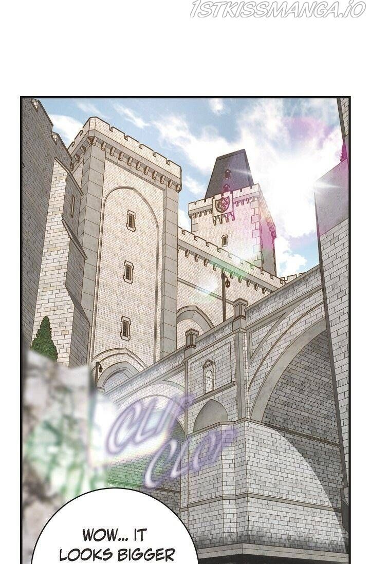 Read Survival Marriage Manga Online