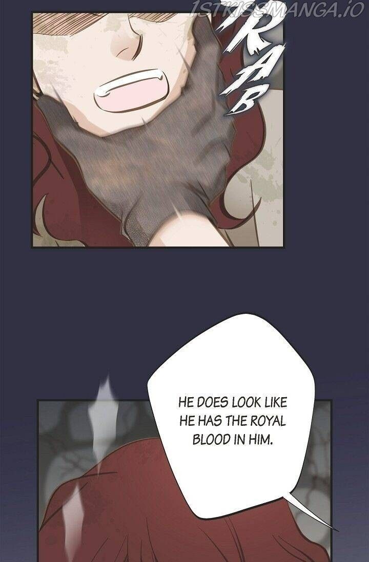 Read Survival Marriage Manga Online