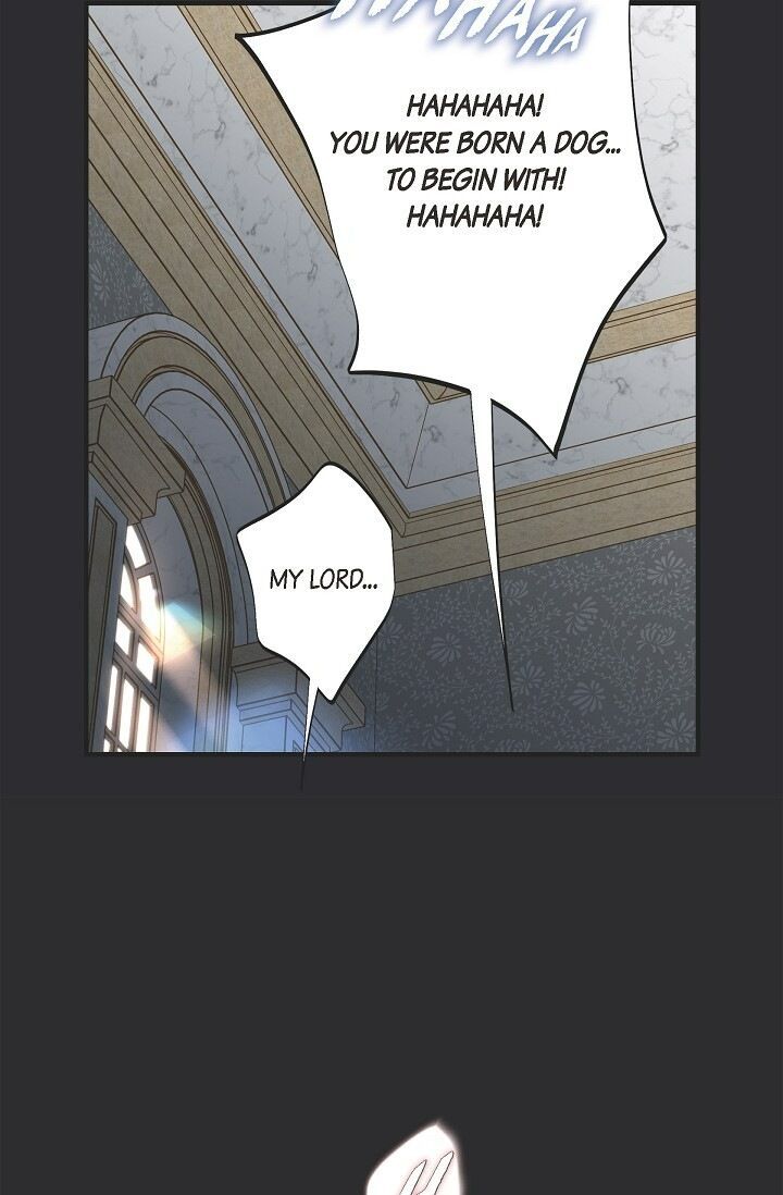 Read Survival Marriage Manga Online