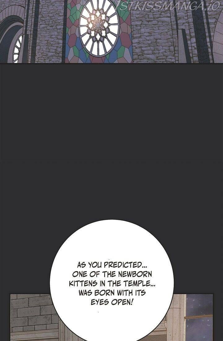 Read Survival Marriage Manga Online