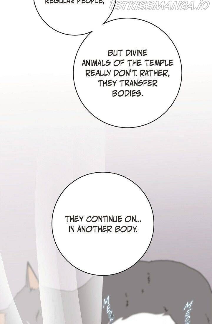 Read Survival Marriage Manga Online