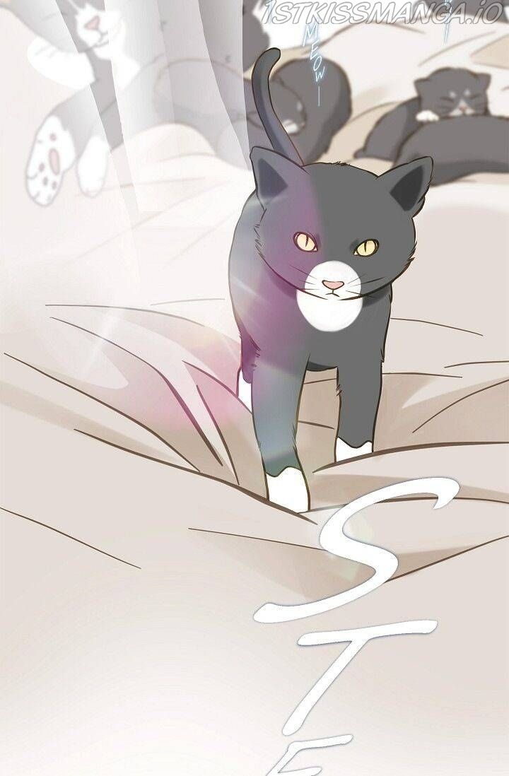 Read Survival Marriage Manga Online