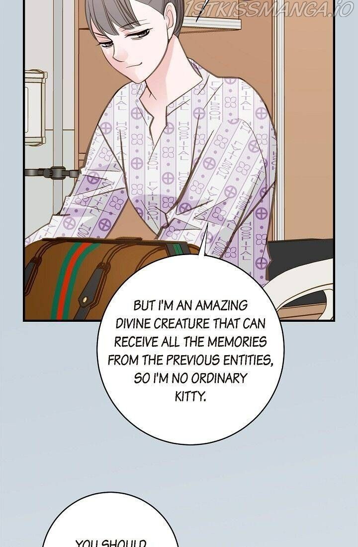 Read Survival Marriage Manga Online