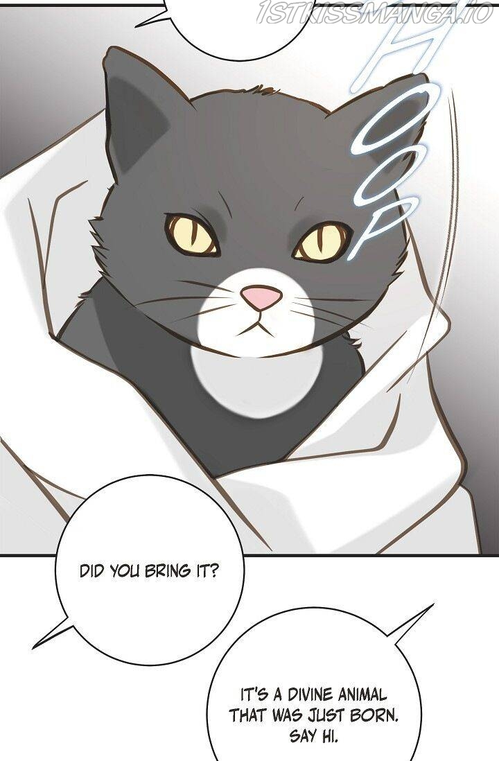 Read Survival Marriage Manga Online