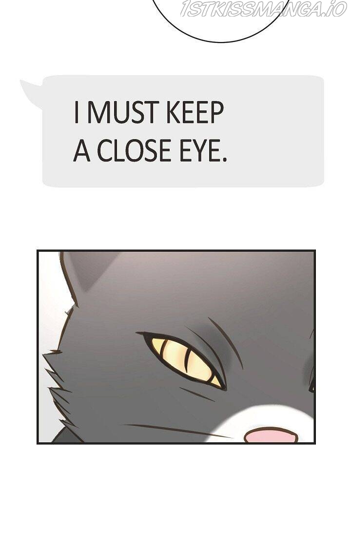 Read Survival Marriage Manga Online