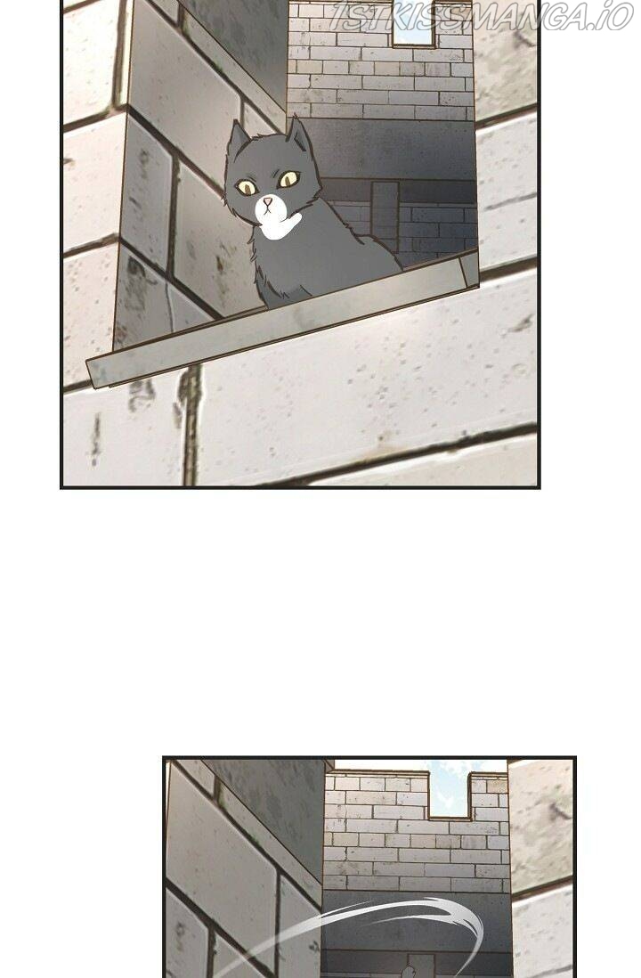 Read Survival Marriage Manga Online