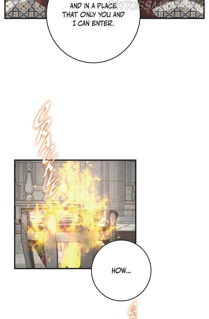 Read Survival Marriage Manga Online