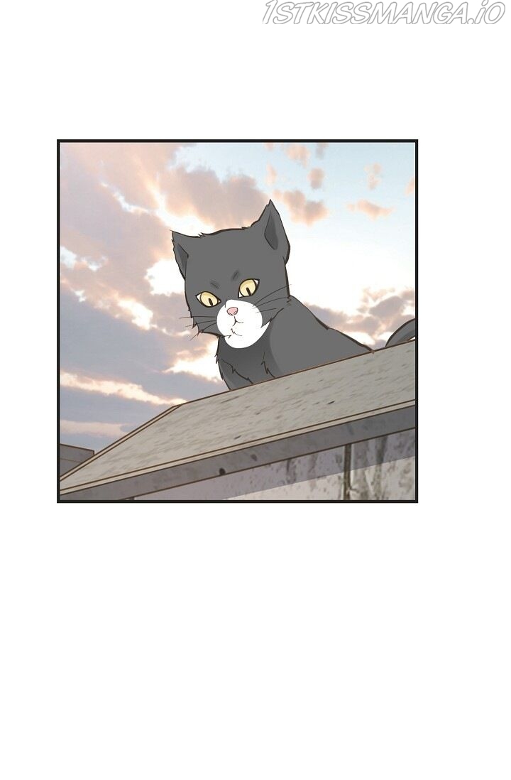 Read Survival Marriage Manga Online