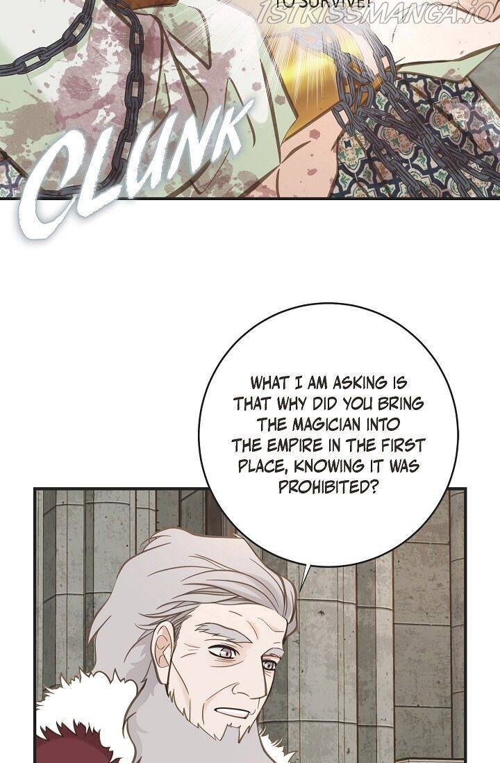 Read Survival Marriage Manga Online