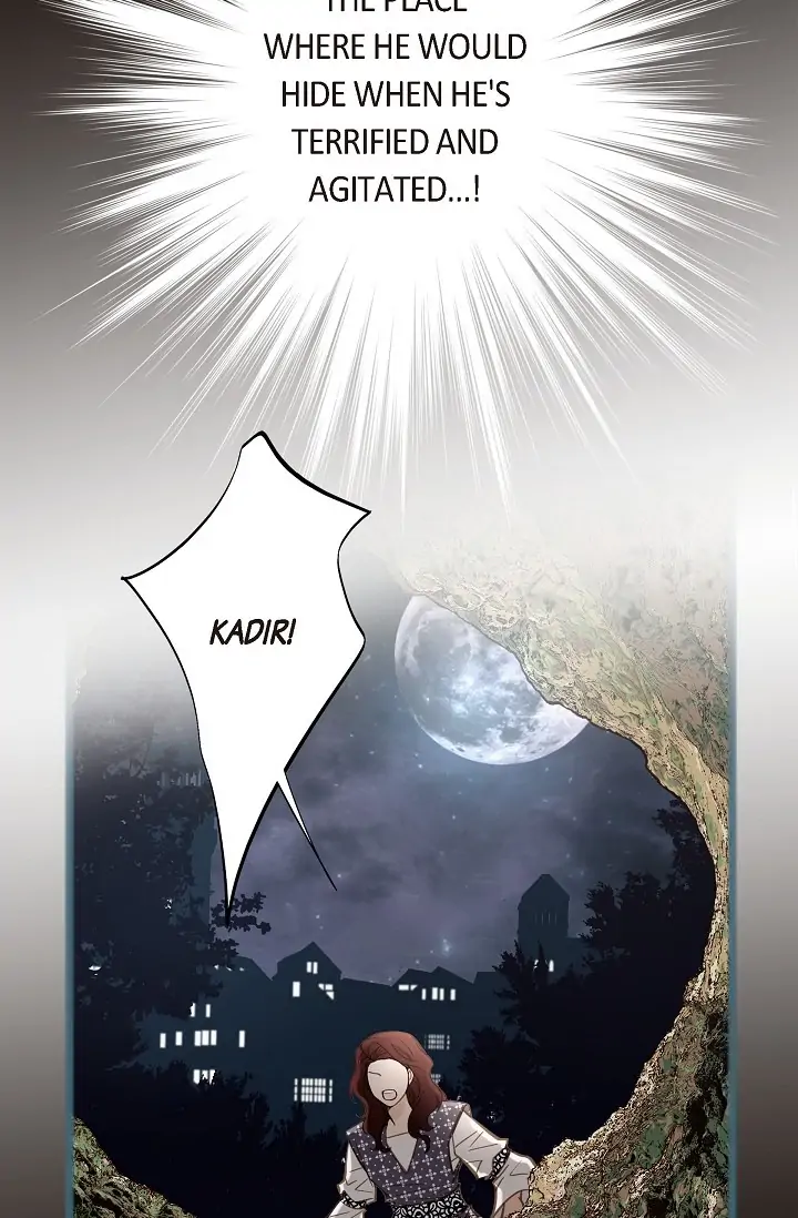 Read Survival Marriage Manga Online