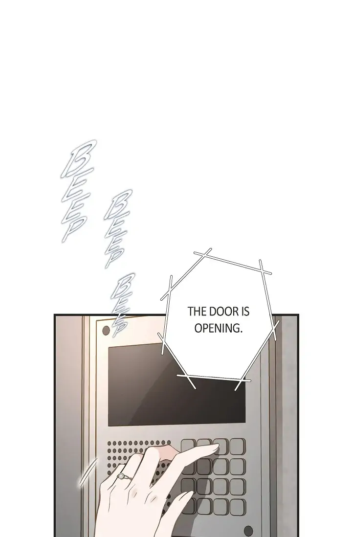 Read Survival Marriage Manga Online