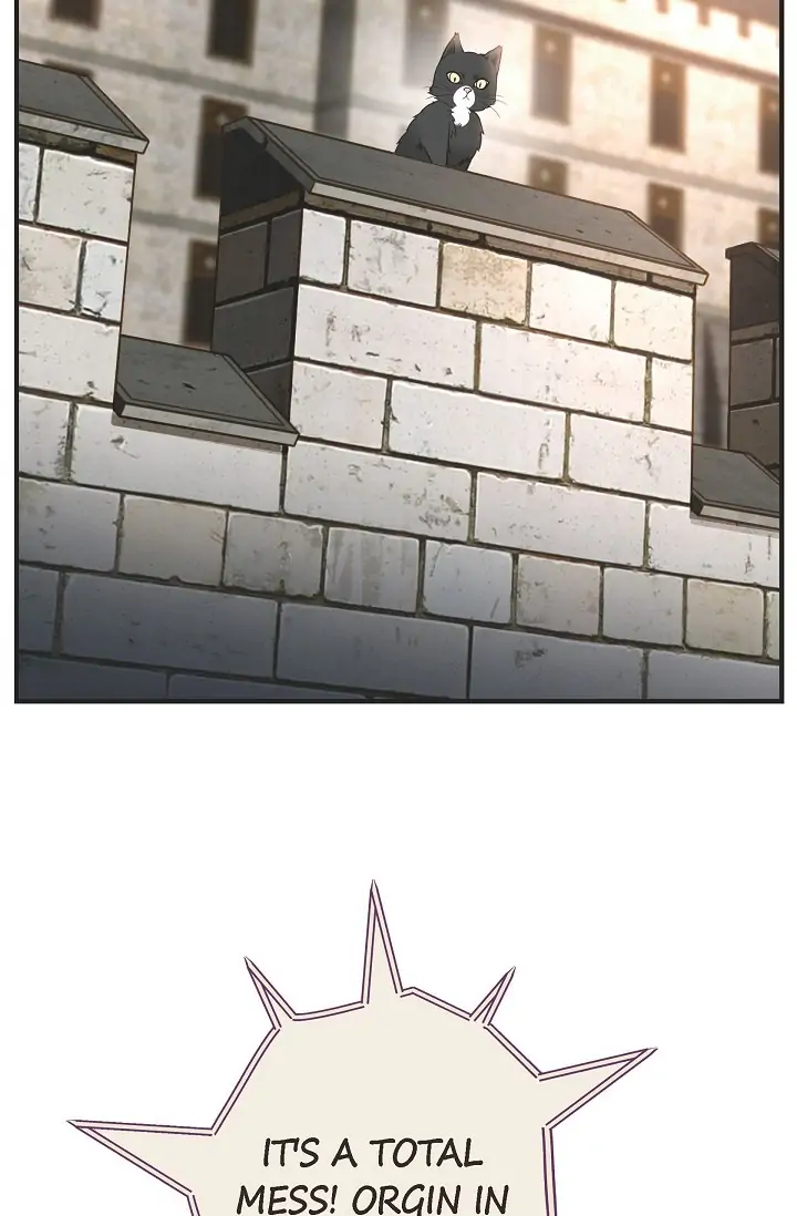 Read Survival Marriage Manga Online