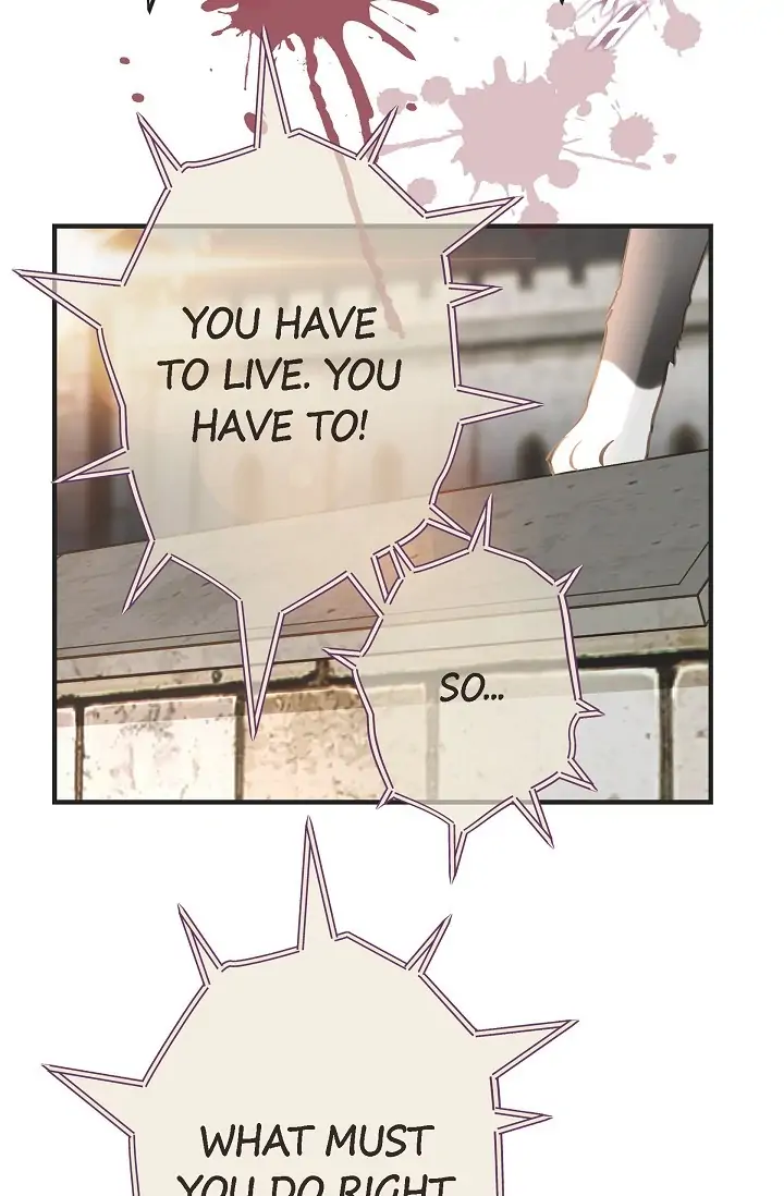 Read Survival Marriage Manga Online