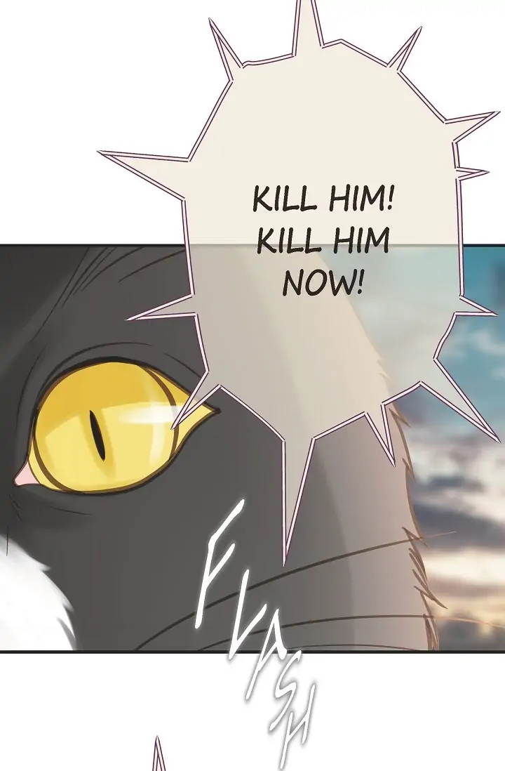 Read Survival Marriage Manga Online