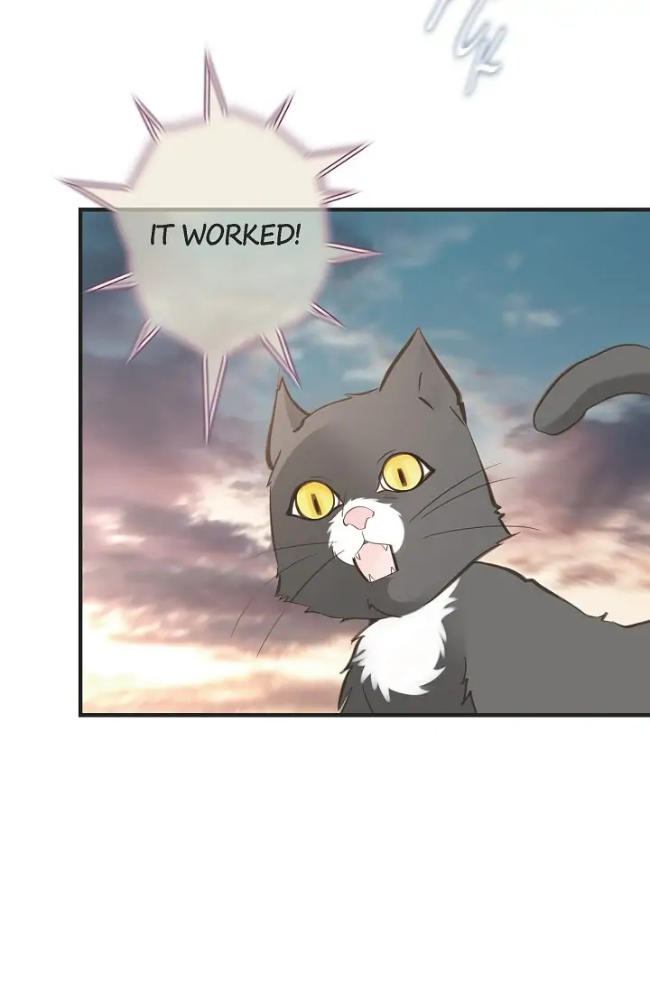 Read Survival Marriage Manga Online