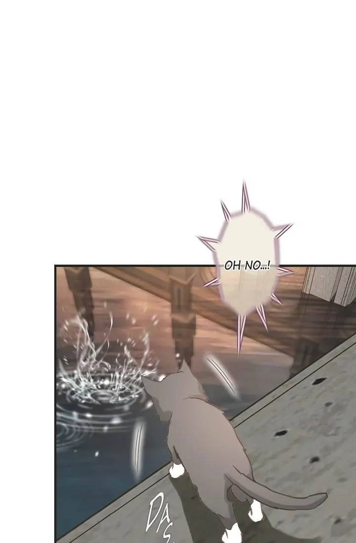 Read Survival Marriage Manga Online