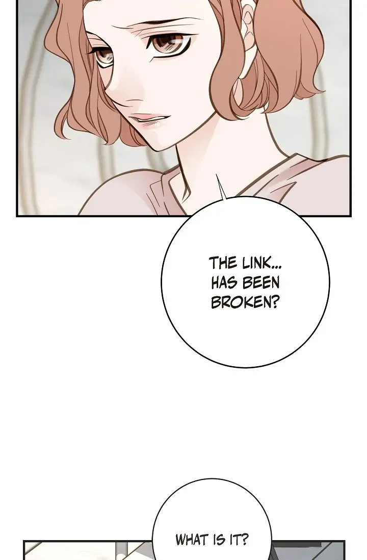 Read Survival Marriage Manga Online