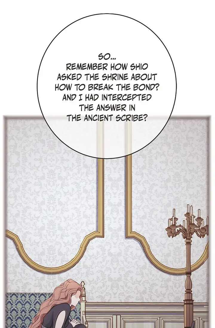 Read Survival Marriage Manga Online