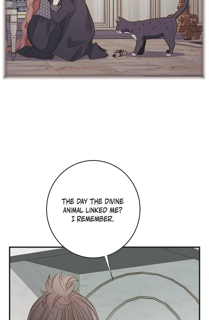 Read Survival Marriage Manga Online