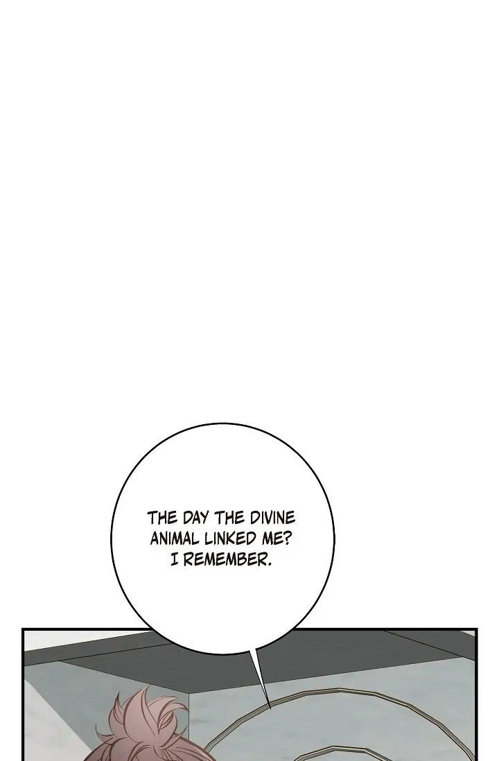 Read Survival Marriage Manga Online