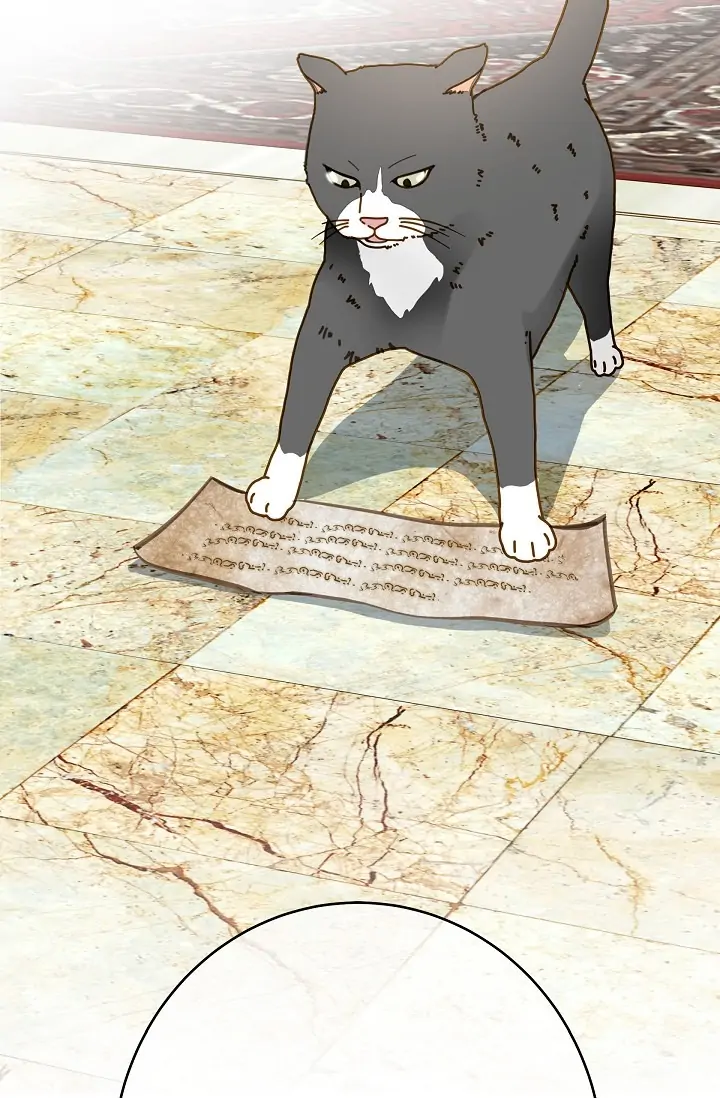 Read Survival Marriage Manga Online