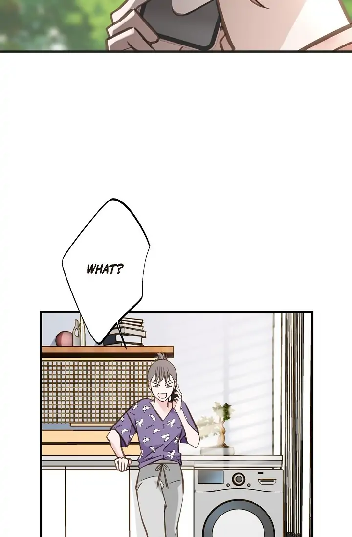 Read Survival Marriage Manga Online