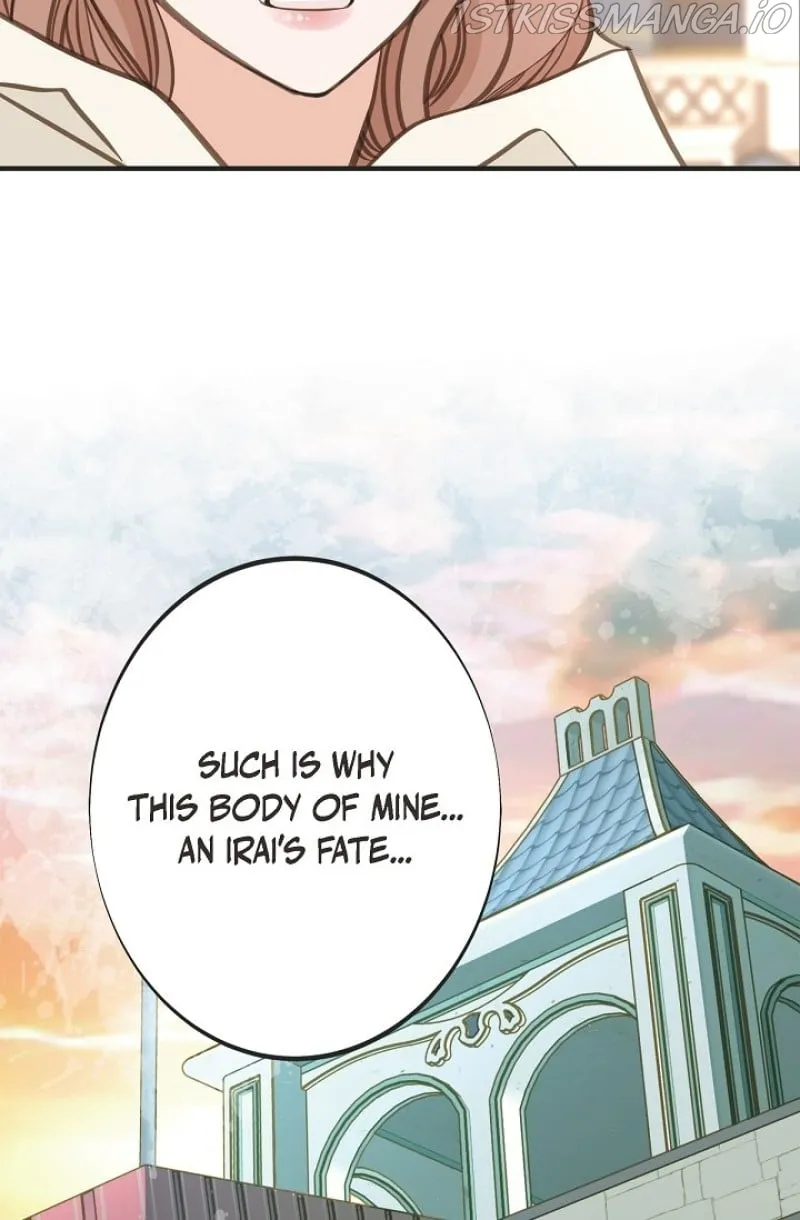 Read Survival Marriage Manga Online