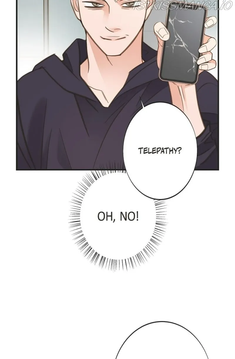 Read Survival Marriage Manga Online