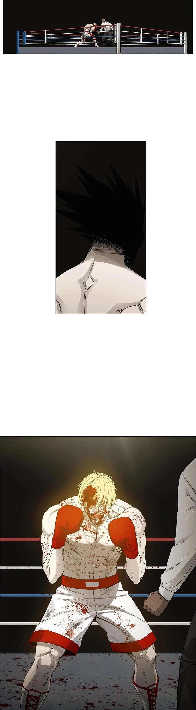 Read The Boxer Manga Online