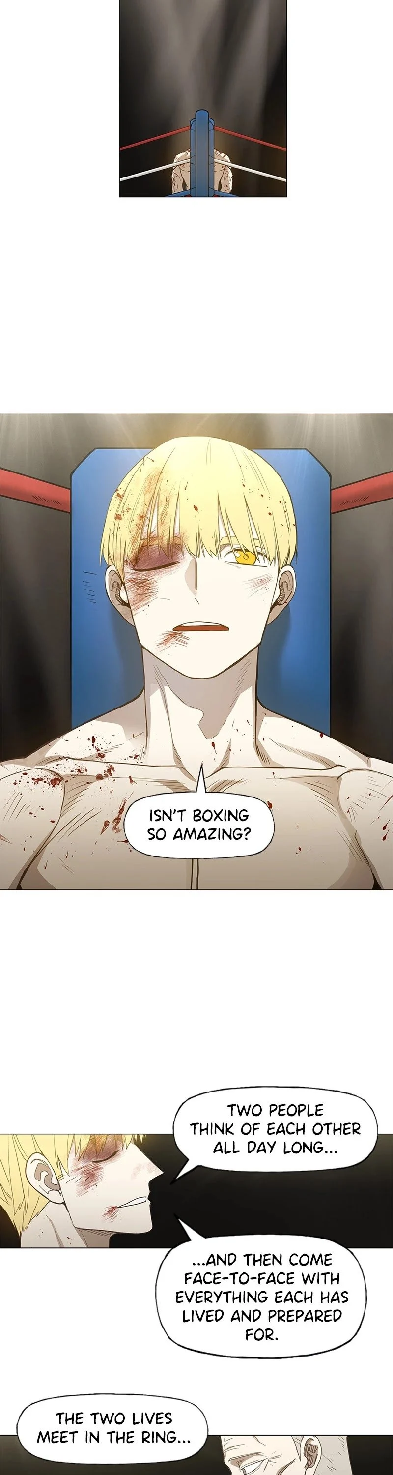 Read The Boxer Manga Online