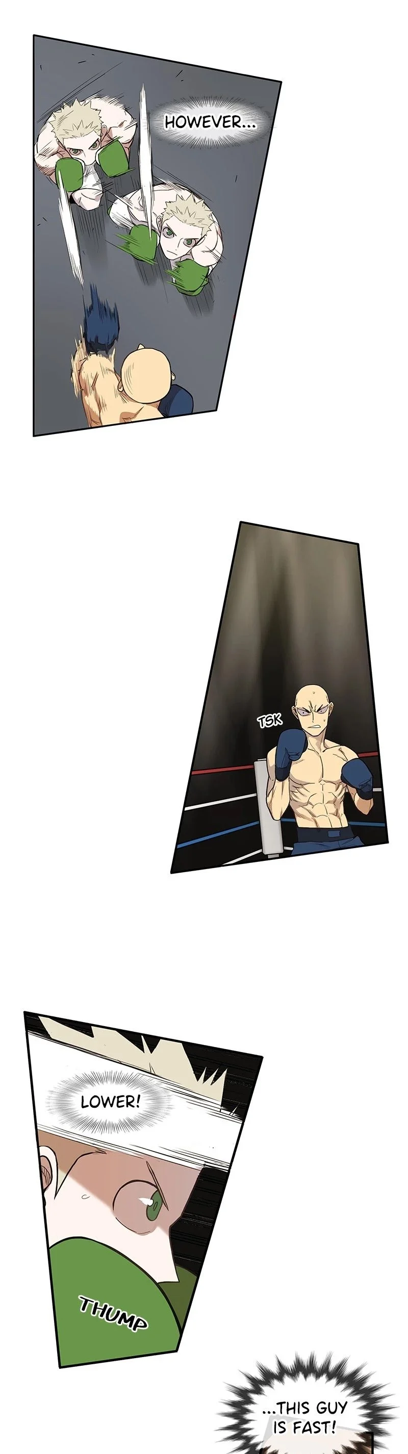 Read The Boxer Manga Online