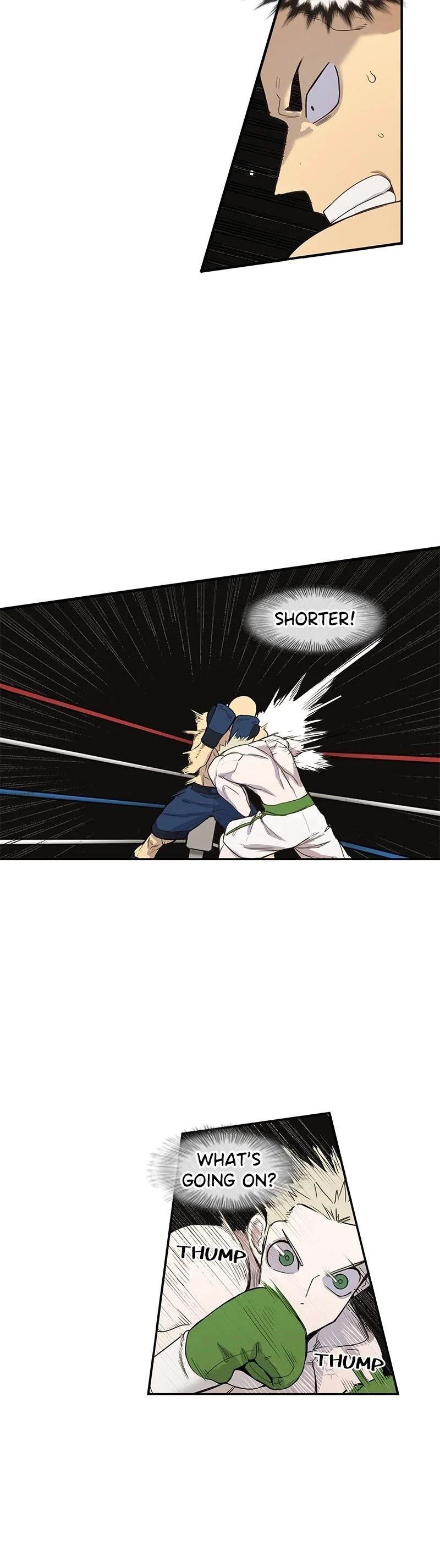 Read The Boxer Manga Online