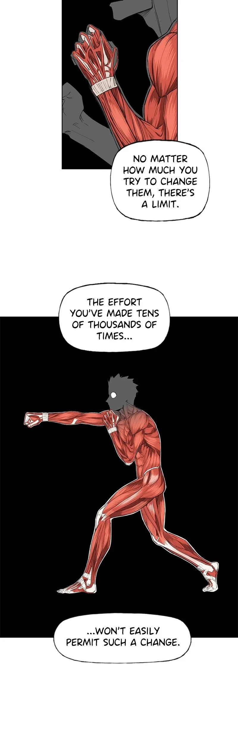 Read The Boxer Manga Online