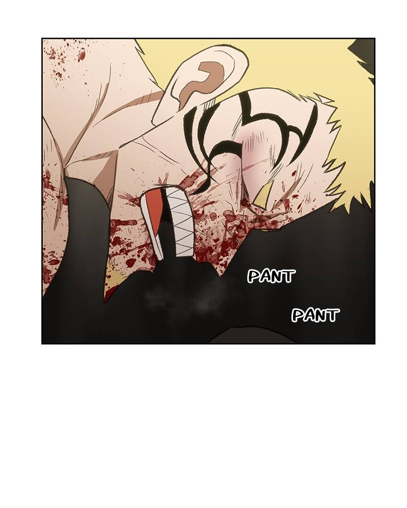 Read The Boxer Manga Online