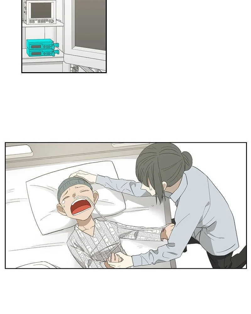 Read The Boxer Manga Online