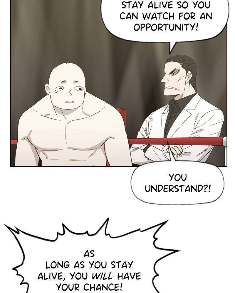 Read The Boxer Manga Online