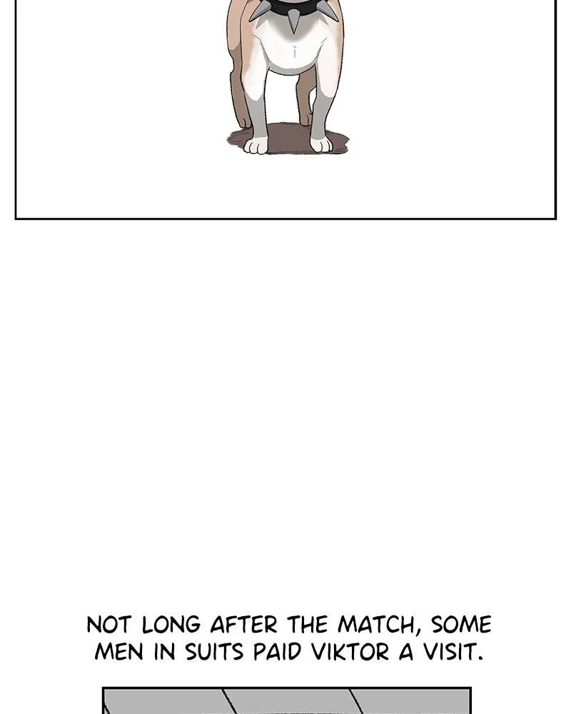 Read The Boxer Manga Online