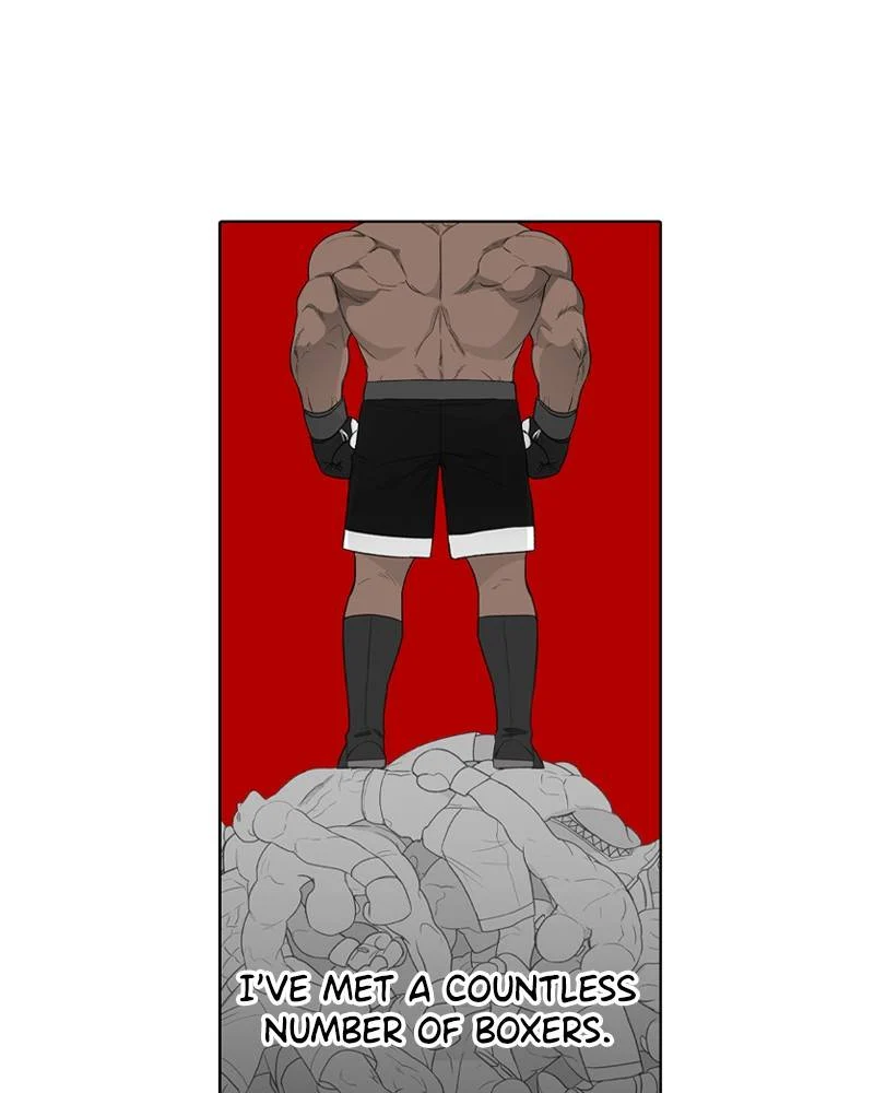 Read The Boxer Manga Online