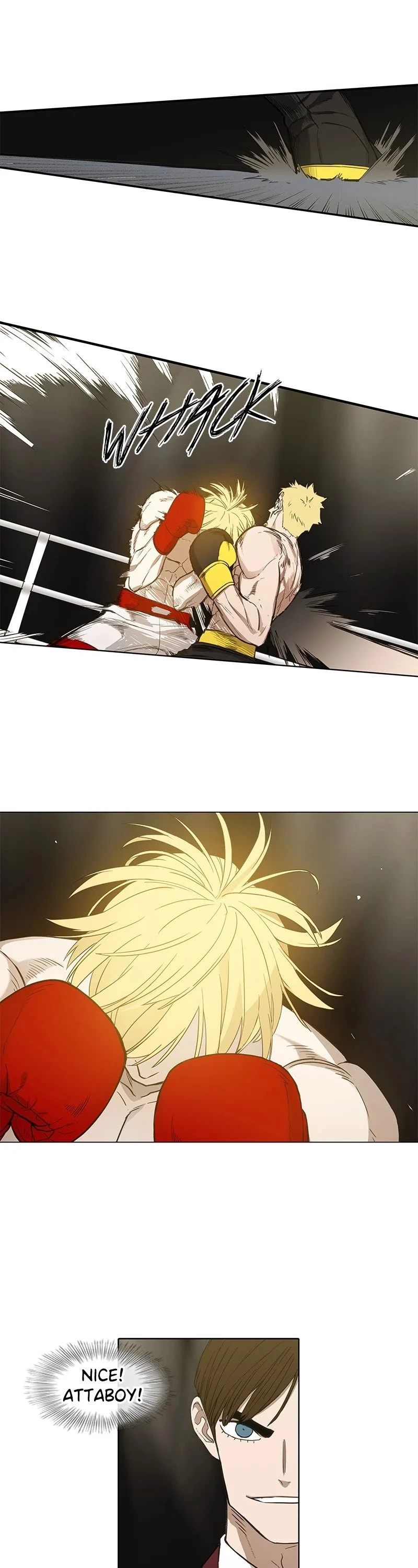 Read The Boxer Manga Online