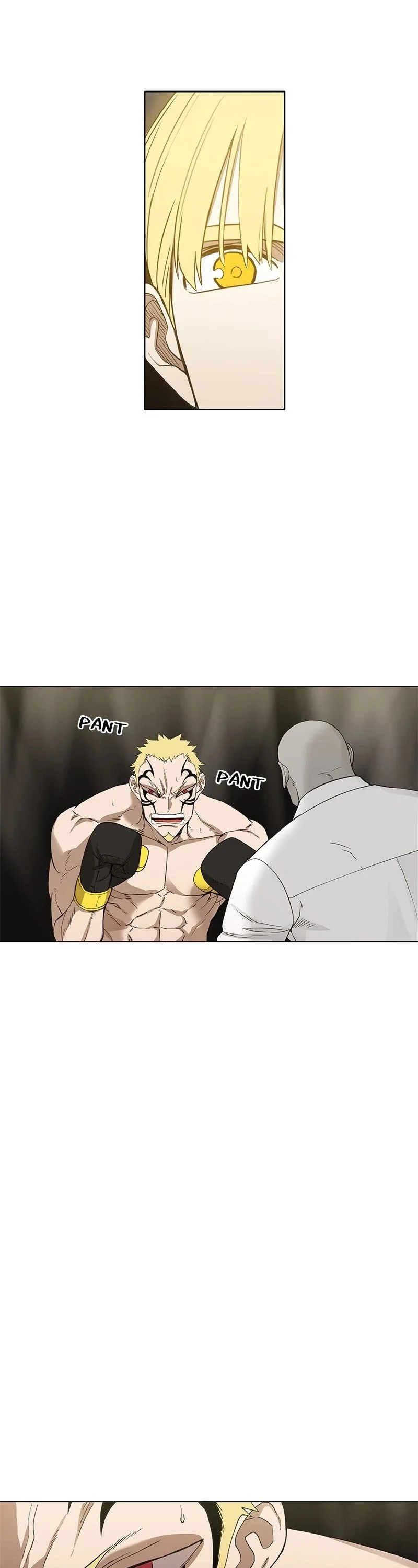 Read The Boxer Manga Online