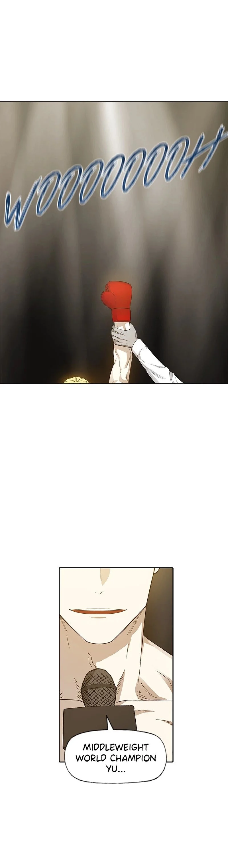 Read The Boxer Manga Online