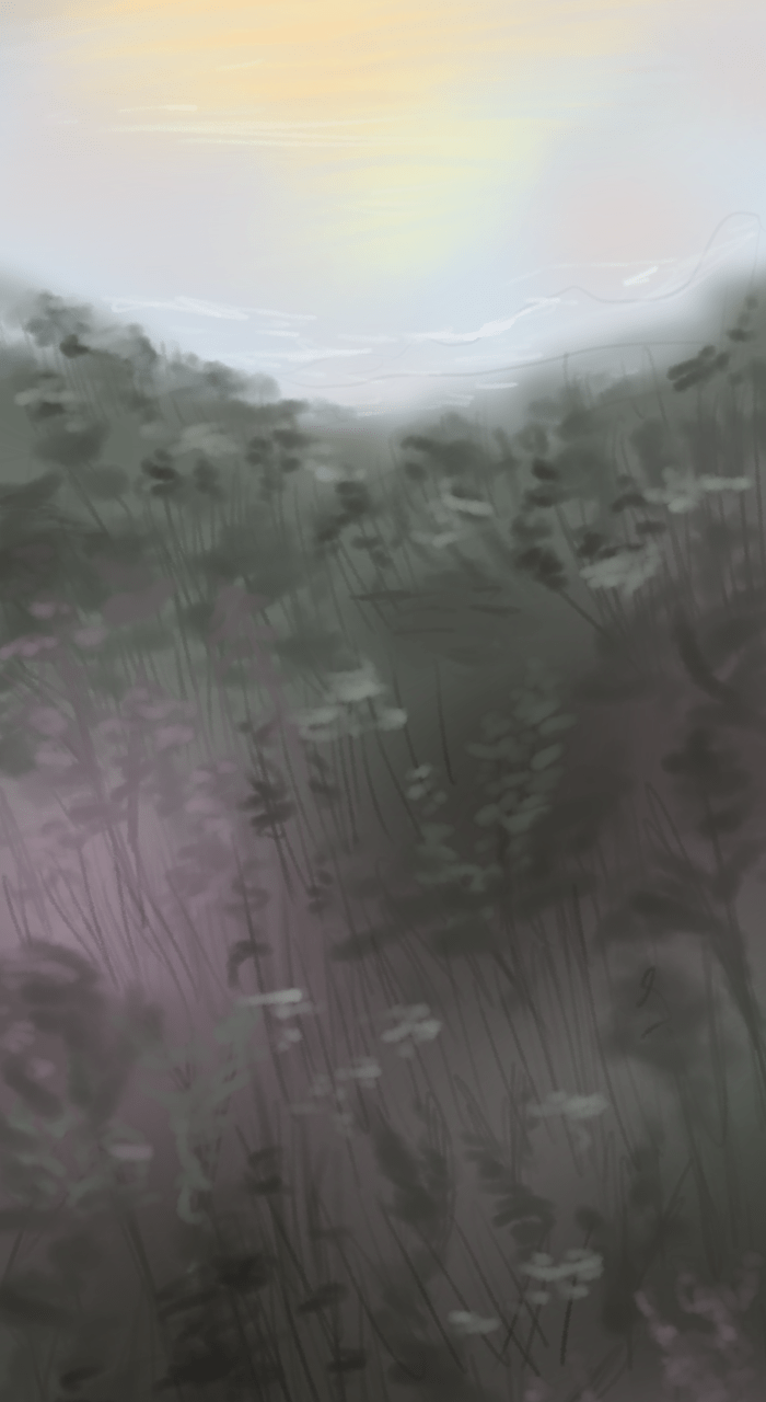 Read Vagabond (B) Manga Online