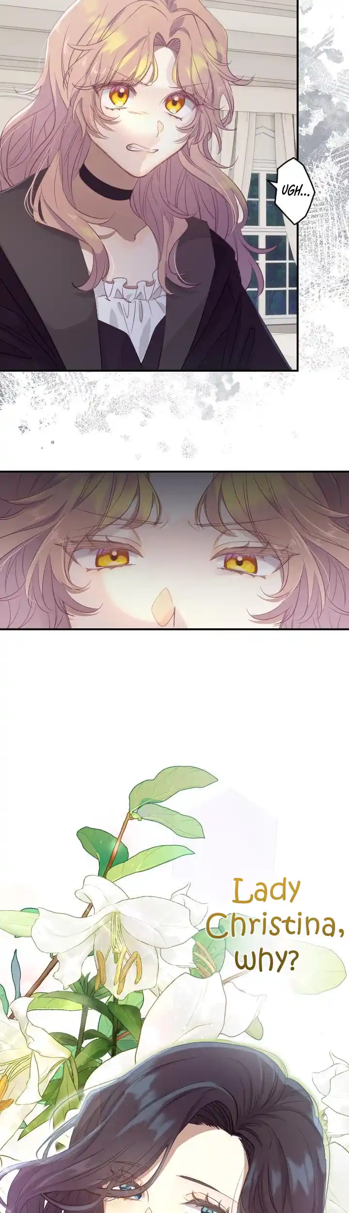 Read Why the Gravekeeper Saint Decided to Get Married Manga Online