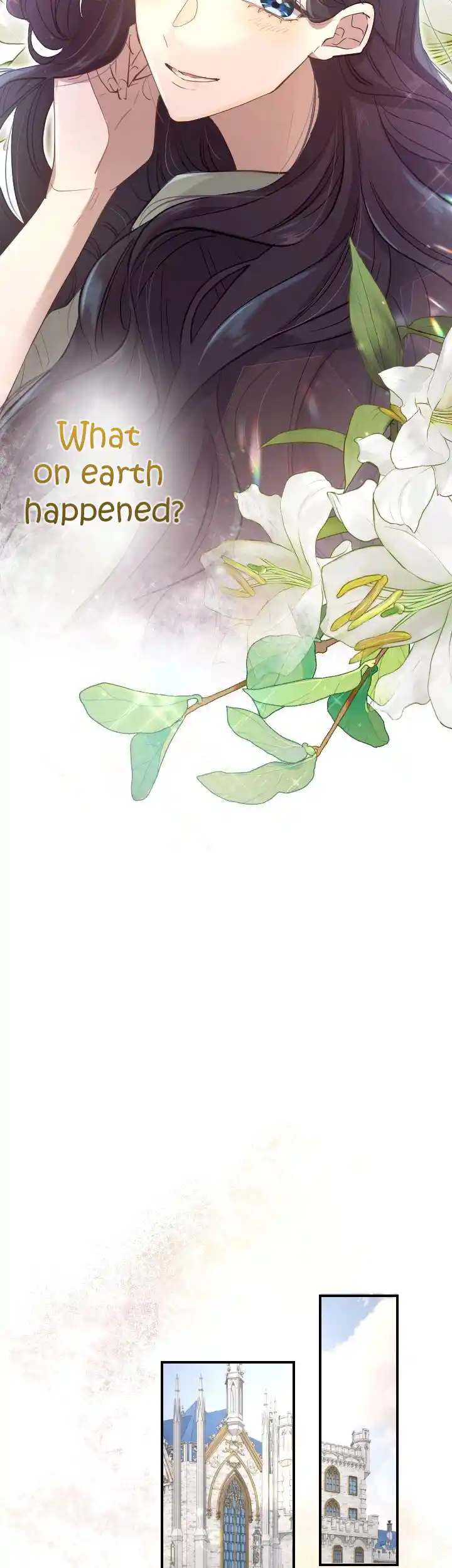 Read Why the Gravekeeper Saint Decided to Get Married Manga Online