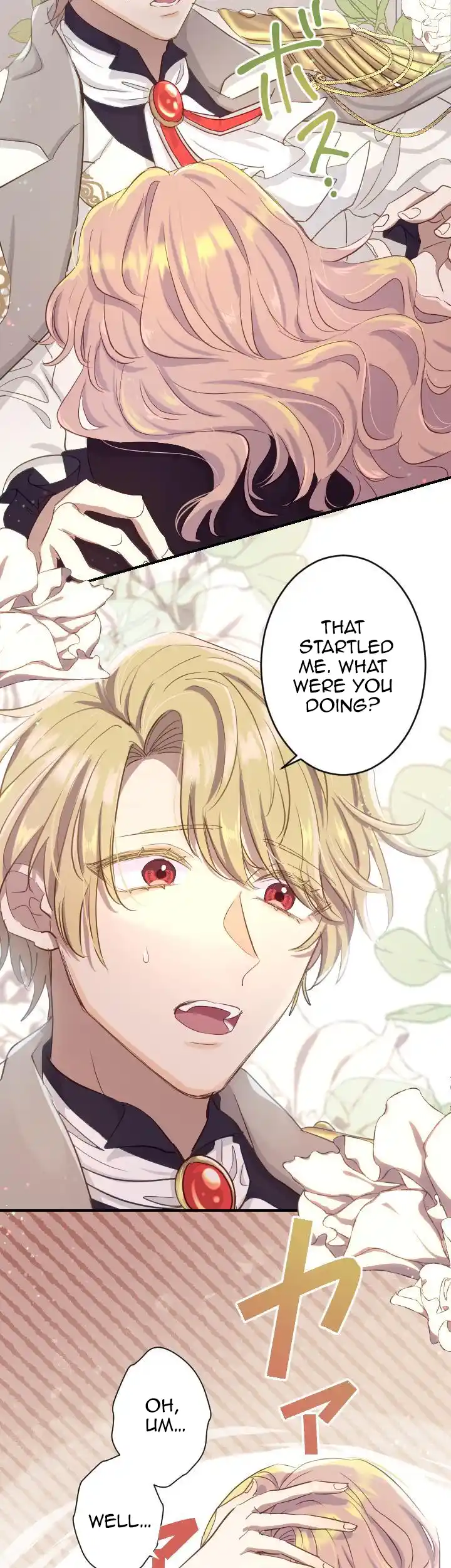 Read Why the Gravekeeper Saint Decided to Get Married Manga Online