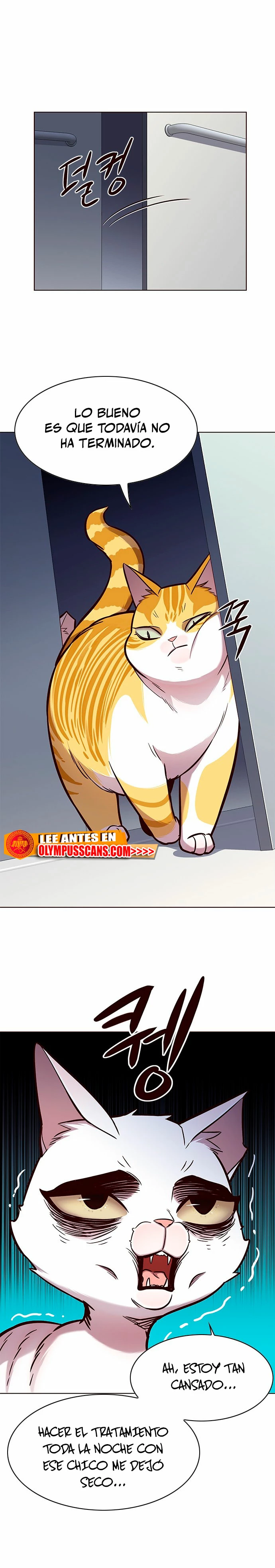 Read Academia de la Ascensión Manga Online