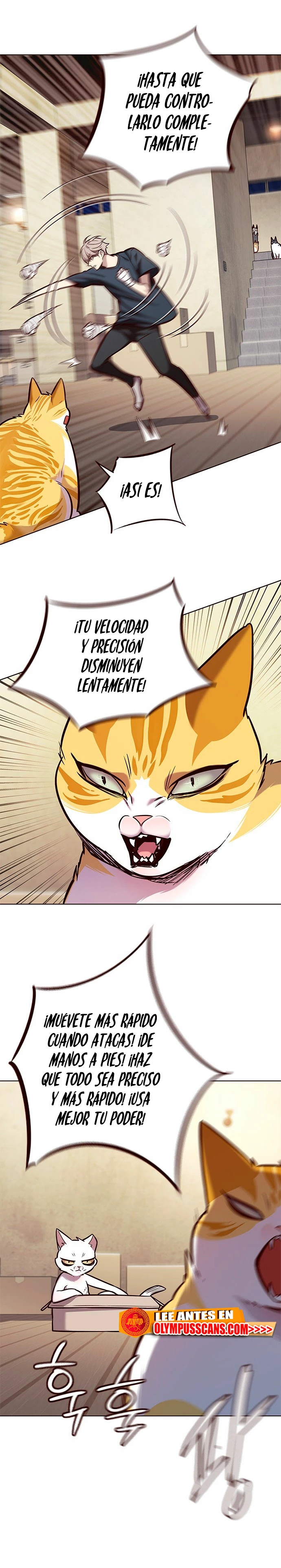 Read Academia de la Ascensión Manga Online